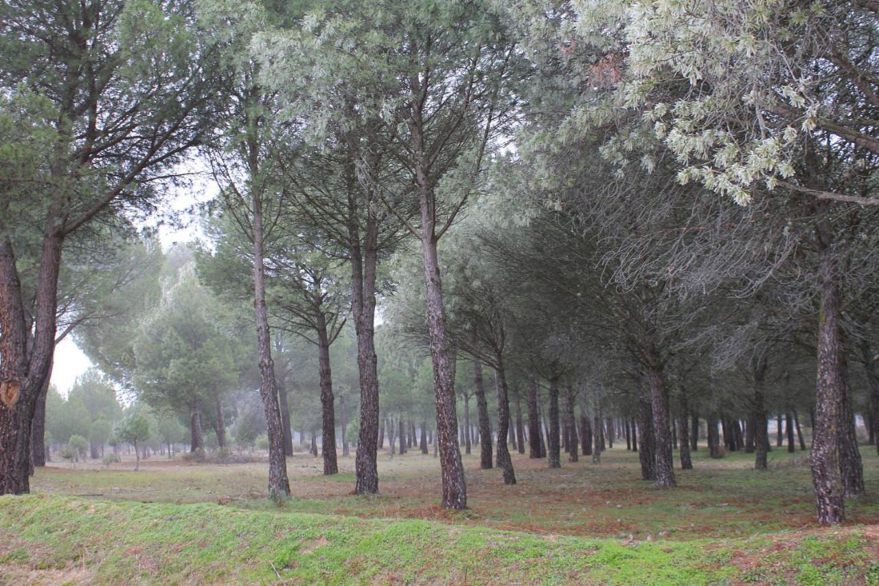 Las Gavias Matapozuelos Esterno foto