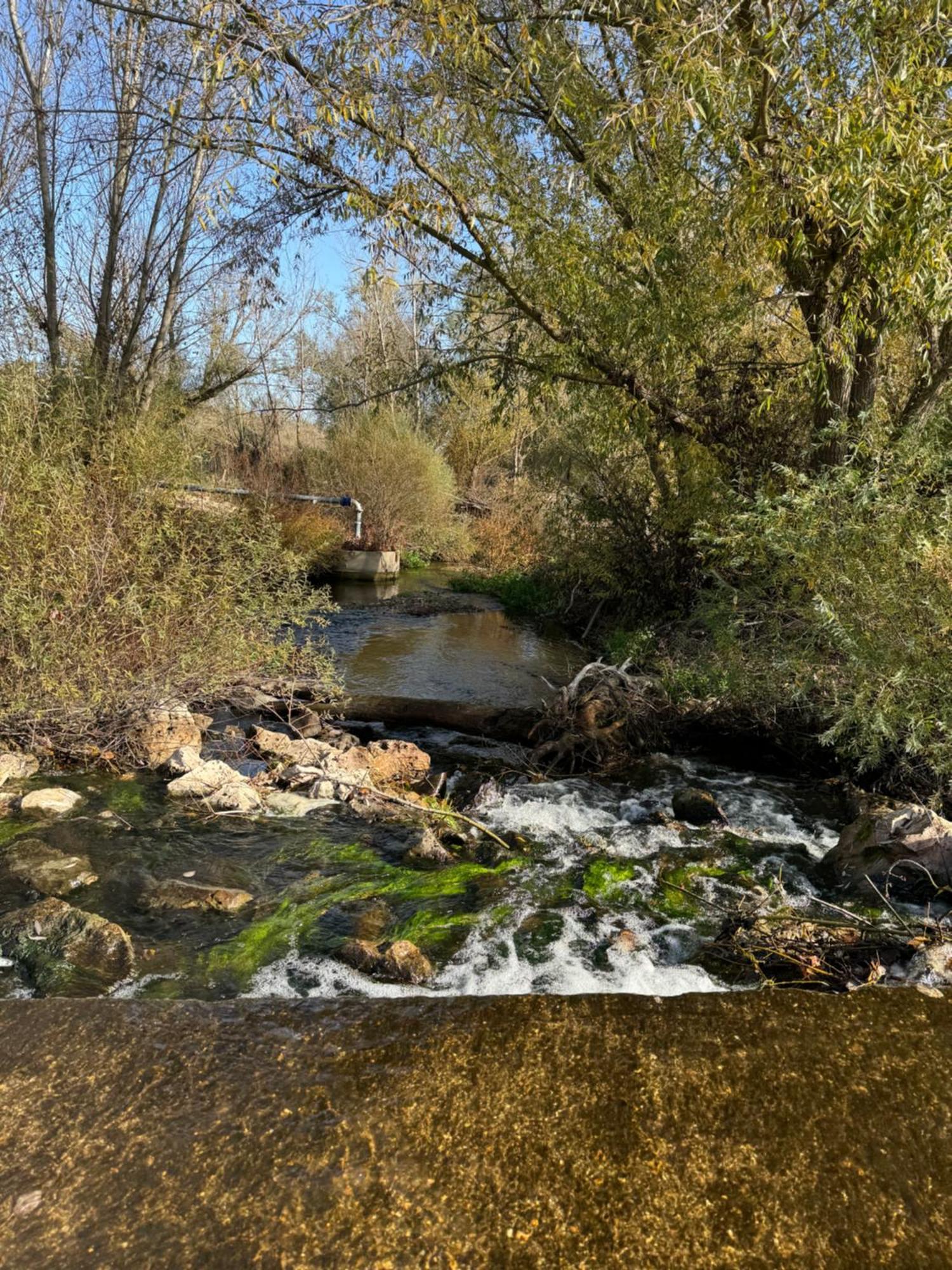 Las Gavias Matapozuelos Esterno foto