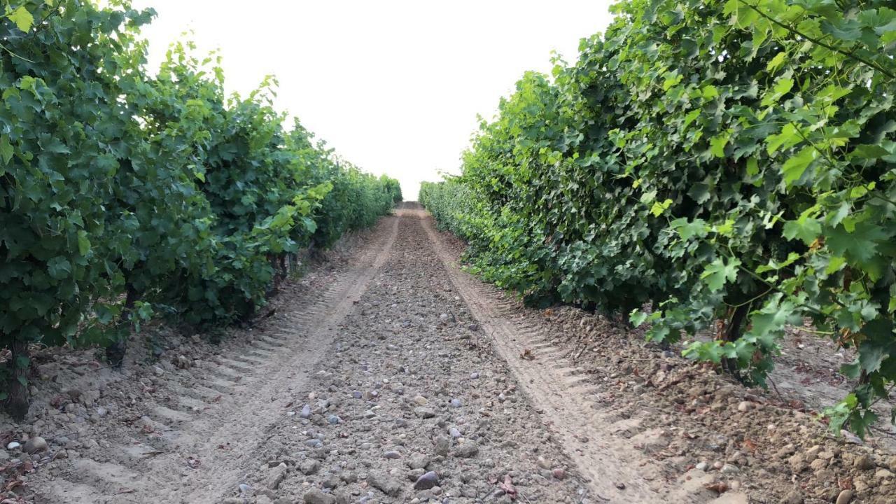 Las Gavias Matapozuelos Esterno foto